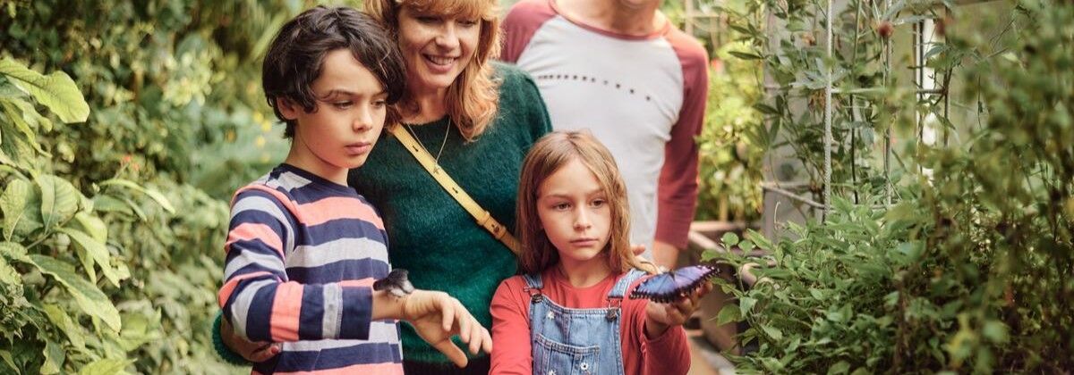 Malahide Castle and Gardens, Co Dublin_TI7QFM