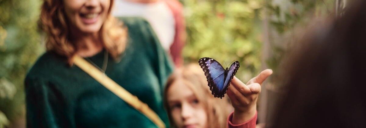 Malahide Castle and Gardens, Co Dublin_TI7QFO