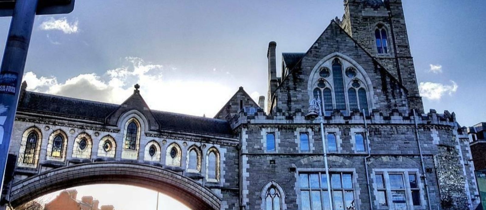 Dublinia