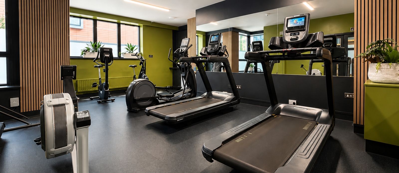 Cardio Equipment