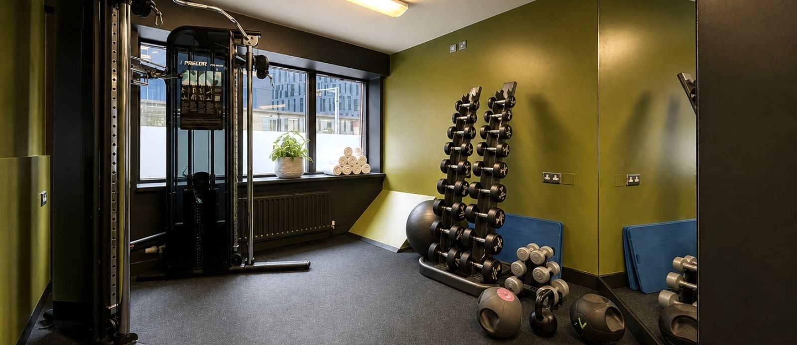 Free Weights