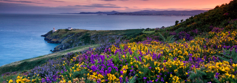 howth.png ( Howth) howth