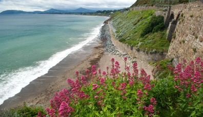 killiney